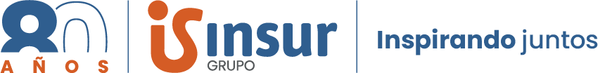 Logo Grupo Insur