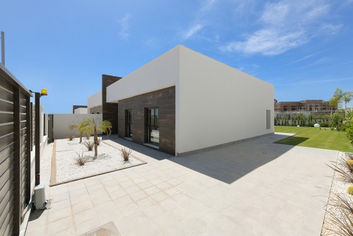 Selecta Olimpia - Galería de imágenes